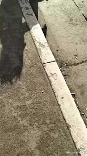 Tazo Dorado (@amoresencalles)’s video of girl singing la patrulla