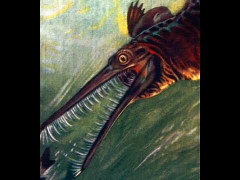 Mesosaurus: An Early Marine Reptile