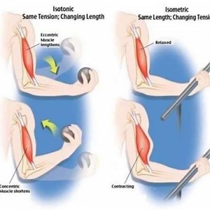 57 reactions · 30 shares | Isotonic and isometric contraction انواع...
