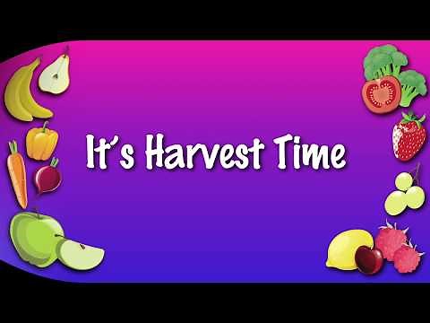 It's Harvest Time | KARAOKE VERSION (NO GUIDE VOCALS) | harvest songs for schools and children