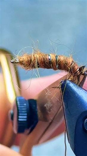 FLY TYING-killer bug (variant)#flytying #fishing #flyfishing