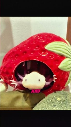 She Found This Creature in Her Pool… Then