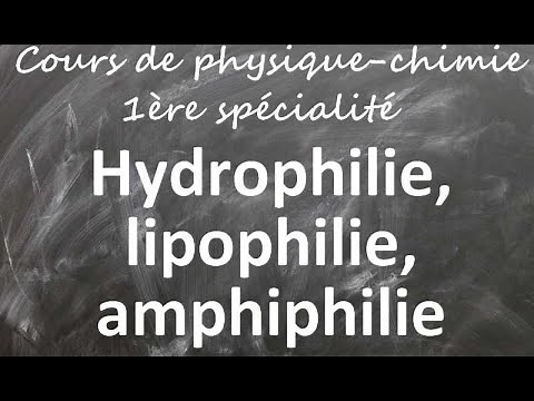 Cours de physique-chimie première spécialité: hydrophilie, lipophilie et amphiphilie.