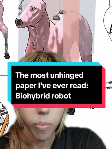 Exploring Biohybrid Robots: Human Tissue and Tiny Brains