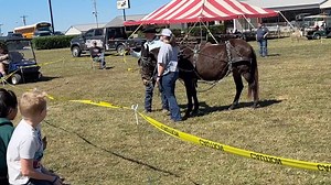 18K views · 111 reactions | This week on Rural Heritage on RFD-TV we...