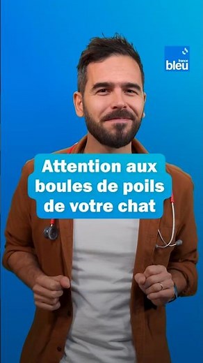 Votre chat vomit des boules de poils