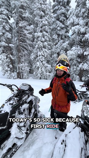 Ultimate Snowmobile Brands: Polaris, Skidoo, and More