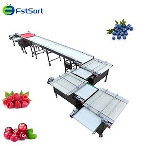 [Hot Item] Blueberry Sorting Machine for Sale, Cranberry Grading Machine, Blueberry Processing Equipment, Berry Sorting Line, Packaging for Blueberries