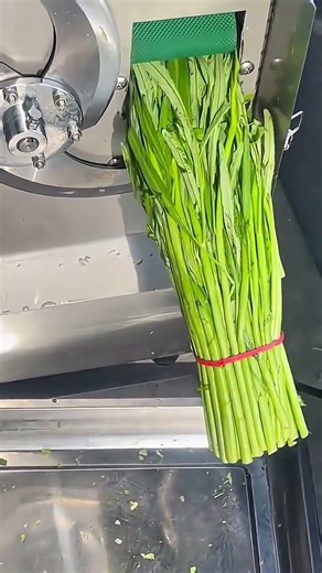 Cutting vegetable stems using automated slicing machine