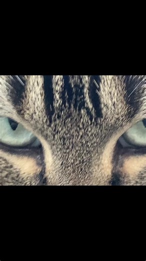 #hot #glitch #ap #s #pyware