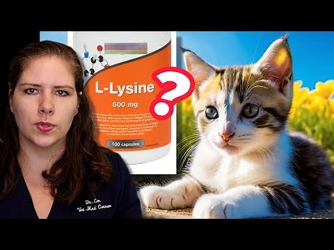 Congested Cat? Should You Give Lysine? Learn All About Feline Upper Respiratory Infections | Dr. Em