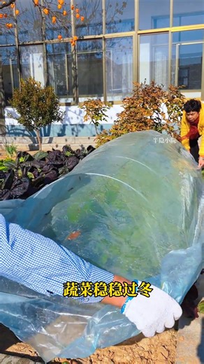 Arched canopy supports provide wind protection and warmth, a little ray of sunshine in winter...