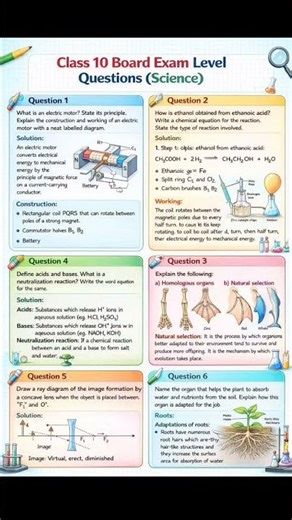 class 10 th exam important questions #exam 👍