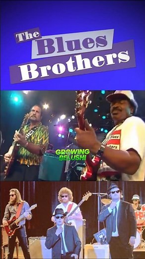 🎶🎷 Blues Brothers Band "Peter Gun" 1992 #bluesbrothers #snl #johnbelushi #danaykroyd #jimbelushi