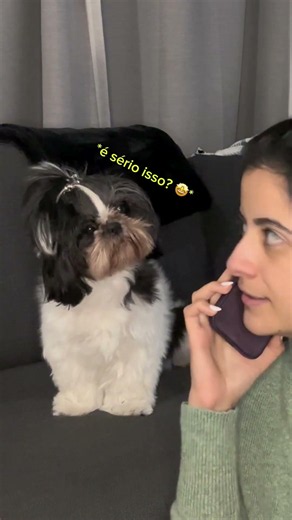 Cachorrinho reage apenas a palavras de interesse em conversa telefônica simulada! 🤣🐶
