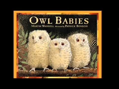 OWL BABIES Read Aloud By Ms. Rochelle