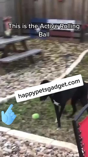 Happy Pets Gadget TikTok'ta