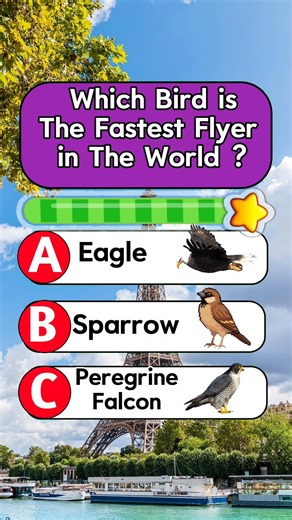 Which bird is the fastest flyer in the world? #birds #usaquiz #quiz #usa #ytshorts