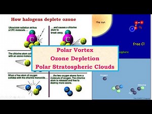 Polar Vortex, Ozone Depletion, Polar Stratospheric Clouds Video Lecture - UPSC