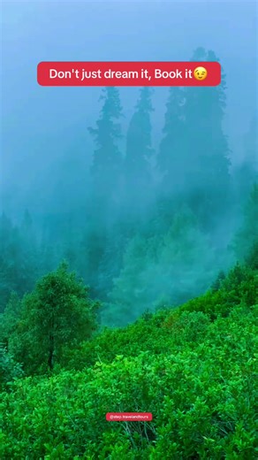 Step Travel & Tours on TikTok