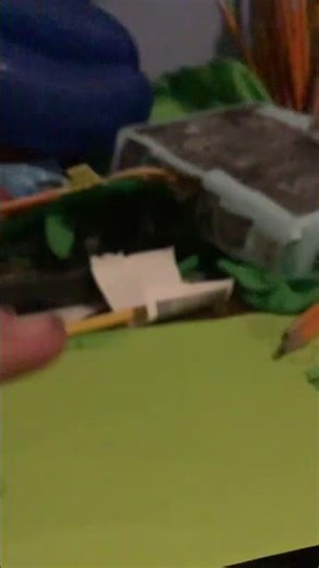 Rugrats Volume 1 (1993) DVD