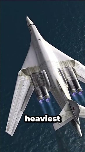 THE HEAVIEST COMBAT AIRCRAFT