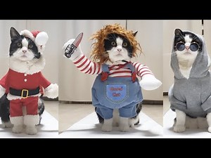 Real CatWalk. Episode 5 of 5