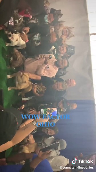 Sonny Almendarez on TikTok