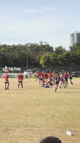 Captivating Seagull Videos: Wildlife Moments