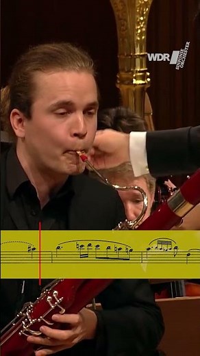 #Mozart's first concerto for a solo wind instrument ♥️ #bassoon