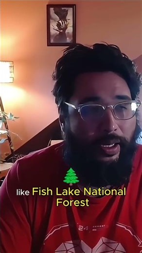 This Entire Forest Is ONE Organism