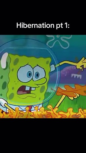 Sandy prepares for hibernation #spongebobsquarepants #spongebobmeme #spongebobclips #sandycheeks