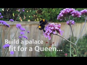 Build a bumblebee nest box