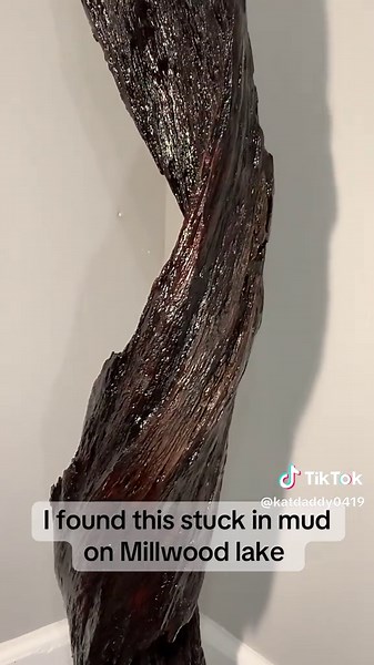 So apparently there’s a trend going around of people sharing their stick finds, I have one of those!! 😂 #sticktok #sticknation #sticks #wood