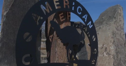 An alternative to Turkey? More like beef. Meet local business American Ostrich Farms