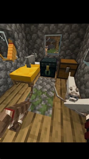 Why Every Pro Player ALWAYS Tames Cats!