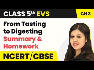 Class 5 EVS Chapter 3 | From Tasting to Digesting - Summary & Homework | Class 5 EVS NCERT