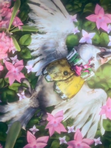 Rio 2: Kemenangan Hutan Amazon dari Penebangan