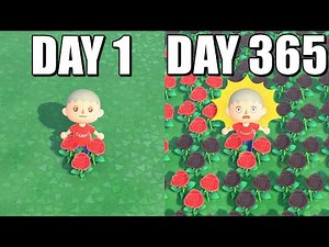 I Let This Flower Spread for 1 Year... (Animal Crossing New Horizons)