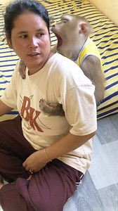 Little Jason Sit Hugged Mom Alert To Do Something | Monkey Jason