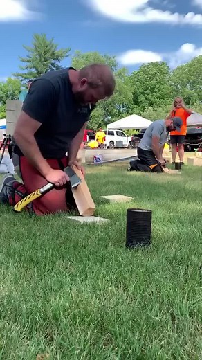 #tree #cuttingtrees #treework