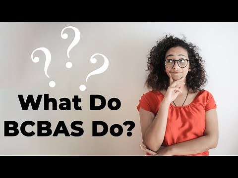 What Does a BCBA Do & What Happens in ABA? Using Data to Set Goals, Reinforcement & More