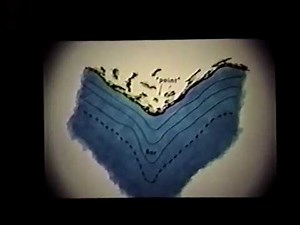 Buck Perry Series: Part 5A Structure