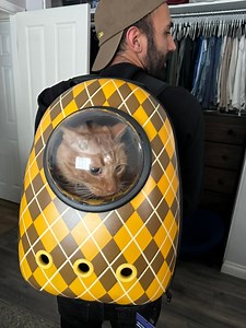 51K views · 2K reactions | Kermit and I are all set with our new Argylle x Travel Cat Backpack, ready to hit the movies in style. Argylle, here we come!  Argylle Now Playing! Thank you Your Cat Backpack by Travel Cat ! The movie was such a joy filled with surpurrises! Grab a hot date and check out this movie  #MovieNight #argylle #argyllemovie #catloversclub #catbackpack #cats | Javie and Mr. Kermit | Facebook