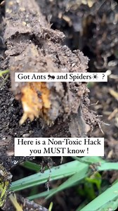 66 reactions · 22 shares | Want to enjoy your summer in peace?  Say...