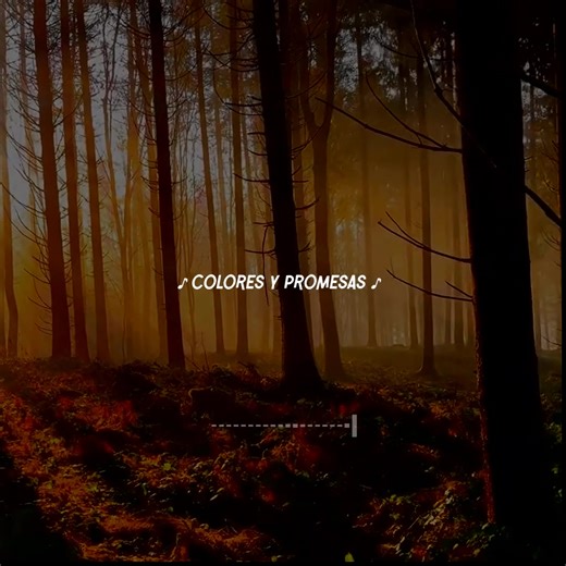 13K views · 426 reactions | Christina Perri - A Thousand Years // Sub. Español | Koya Lyrics | Facebook