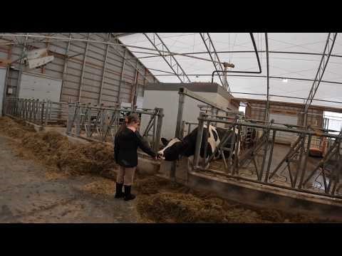 Training Another Farm Generation