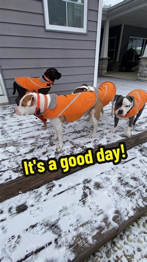 Ready for Spring After Winter's Return