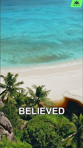 The Underwater Tree Myth 🌊🌱 | Born from a Real See