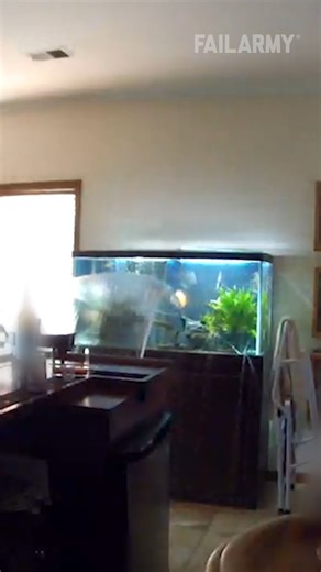 Unbelievable animal fails and prices 🤑 | FailArmy